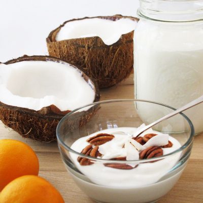 Coconut Milk Yogurt Recipe – Brod & Taylor Canada