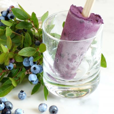 Wild Blueberry Frozen Yogurt Recipe – Brod & Taylor Canada