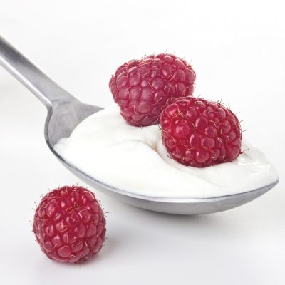 Custard-Style Yogurt Recipe – Brod & Taylor Canada