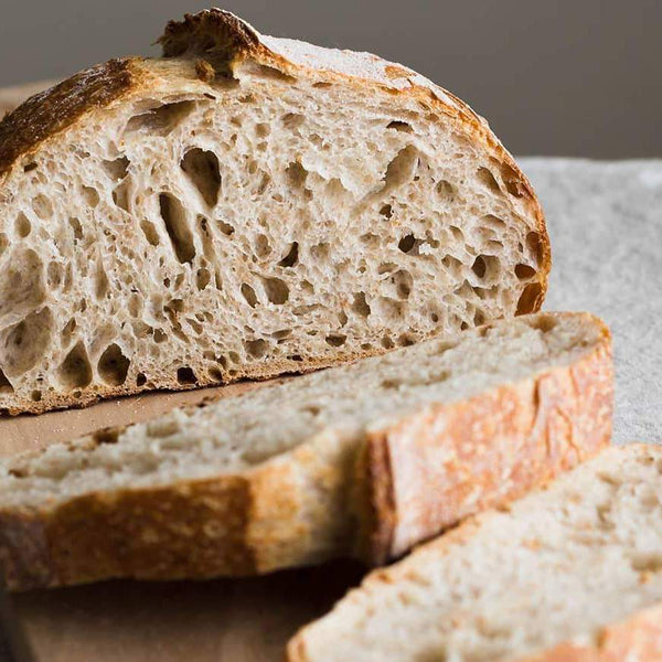 High Hydration Sourdough | Brod & Taylor – Brod & Taylor Canada